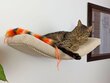 Lentyna katėms Base Cat ARC, 75 cm kaina ir informacija | Žaislai katėms | pigu.lt