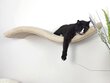 Sieninė lentyna katėms Cat's Atelier Wave Unsymmetrical Right цена и информация | Žaislai katėms | pigu.lt