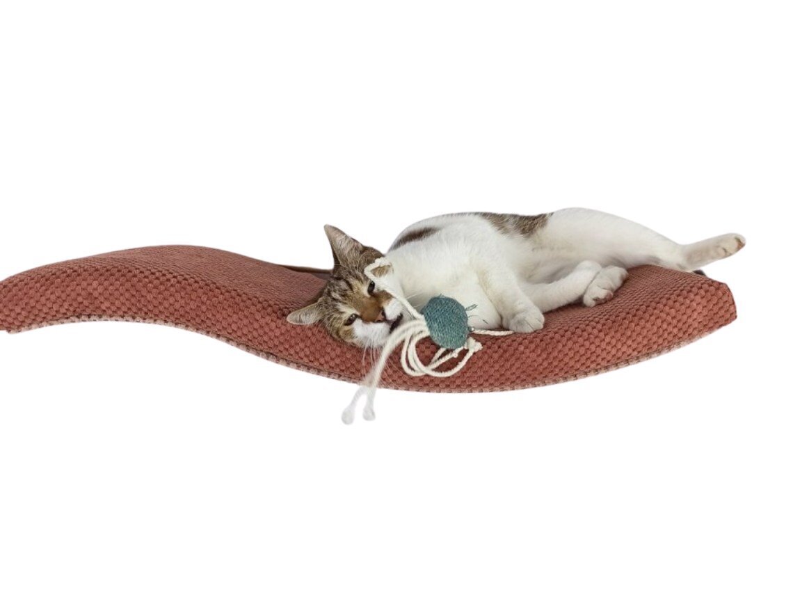 Metalinė sieninė lentyna katėms Wave, 95 cm kaina ir informacija | Guoliai, pagalvėlės | pigu.lt