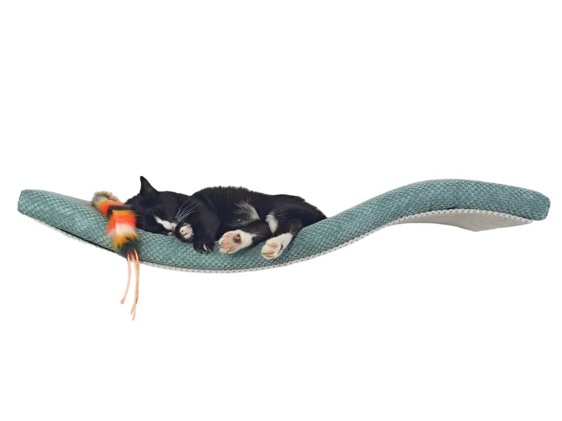 Metalinė sieninė lentyna katėms Cat's Atelier Wave, žalia kaina ir informacija | Guoliai, pagalvėlės | pigu.lt