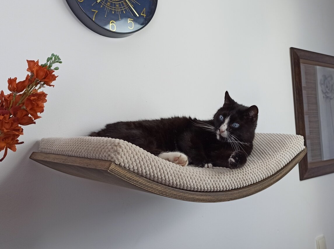 Medinė sieninė lentyna katėms Cat's Atelier ARC 60 kaina ir informacija | Guoliai, pagalvėlės | pigu.lt