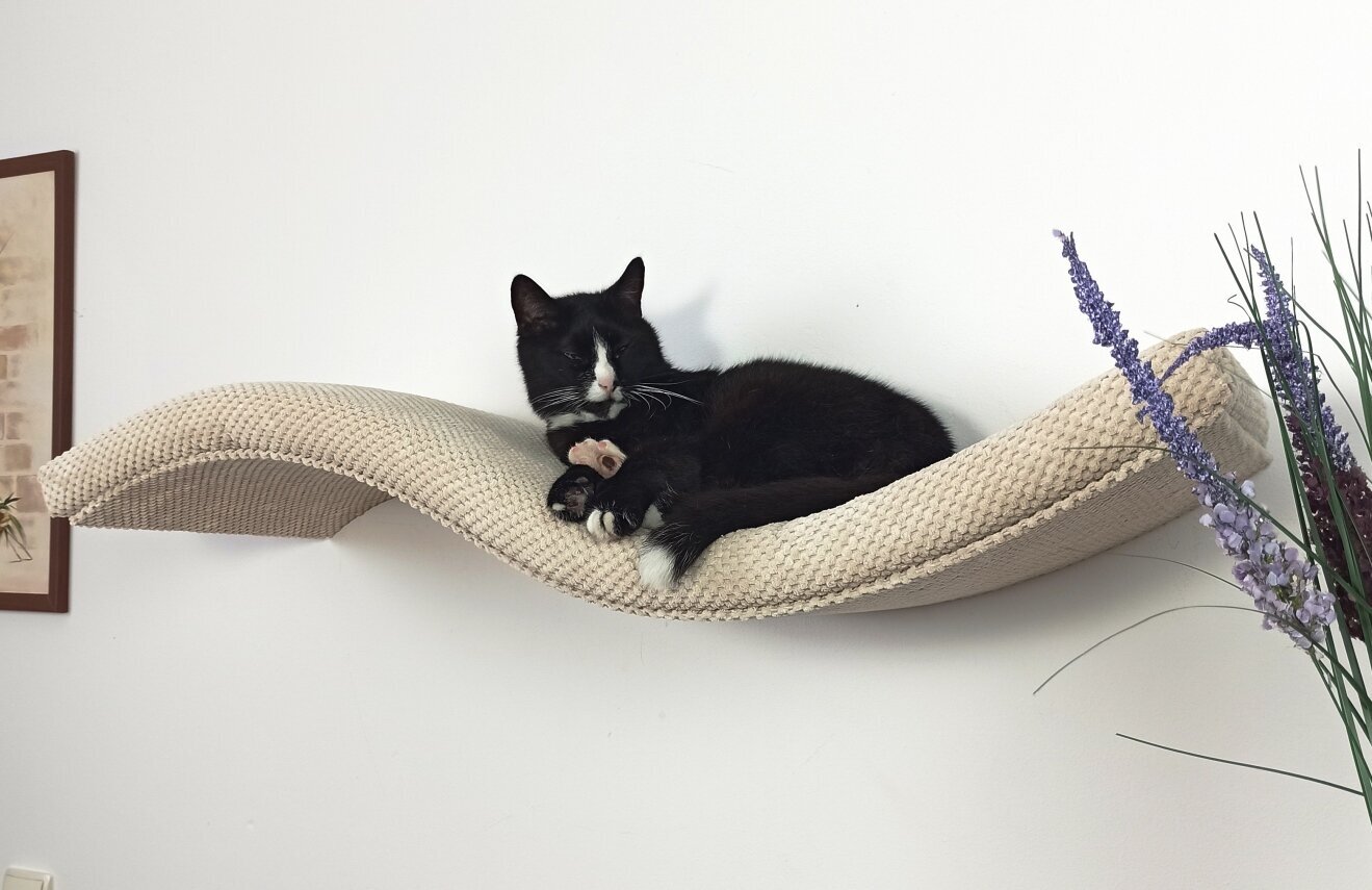 Metalinė sieninė lentyna katėms Cat's Atelier Wave, 100 cm kaina ir informacija | Guoliai, pagalvėlės | pigu.lt
