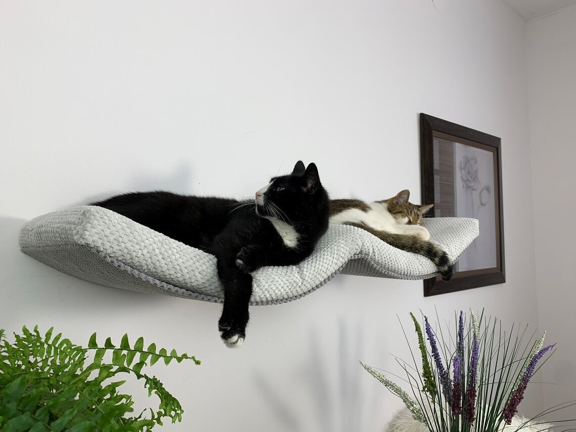 Metalinė sieninė lentyna katėms Cat's Atelier Double ARC, 100 cm kaina ir informacija | Guoliai, pagalvėlės | pigu.lt