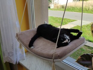 Medinė langų lentyna katėms ARC 60 kaina ir informacija | Guoliai, pagalvėlės | pigu.lt