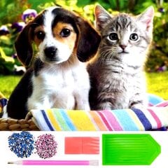 Deimantų siuvinėjimo mozaika Šuo ir katė, 30x30 cm kaina ir informacija | Deimantinės mozaikos | pigu.lt