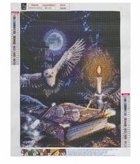 Deimantų siuvinėjimo mozaika Nakties pelėda, 30x40 cm kaina ir informacija | Deimantinės mozaikos | pigu.lt