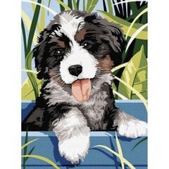 Набор для рисования по номерам Собака, 40 х 30см цена и информация | Живопись по номерам | pigu.lt