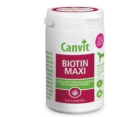 Vitaminai didelių veislių šunims Canvit Dog Biotin Maxi, 230 g kaina ir informacija | Vitaminai, papildai, antiparazitinės priemonės šunims | pigu.lt