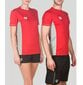 Marškinėliai vyrams Arena, raudoni kaina ir informacija | Vyriški marškinėliai | pigu.lt