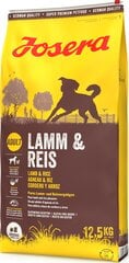 Josera įvairaus aktyvumo šunims Lamb&Rice, 12,5 kg kaina ir informacija | Josera Šunims | pigu.lt