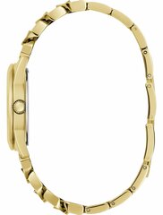 Часы Guess GW0653L1 GW0653L1 цена и информация | Женские часы | pigu.lt