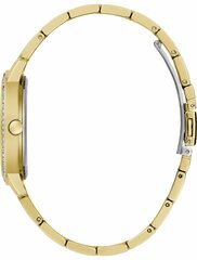 Часы Guess GW0657L2 GW0657L2 цена и информация | Женские часы | pigu.lt