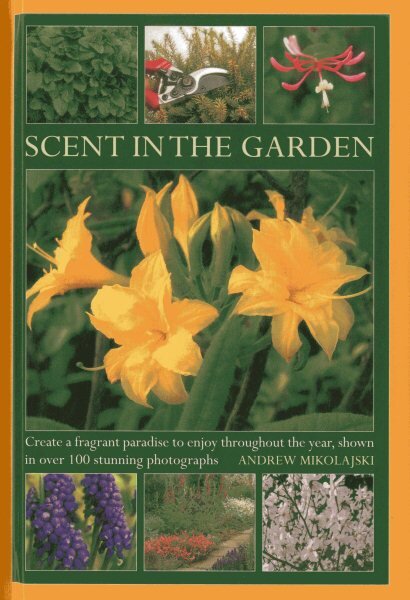 Scent in the Garden: Create a Fragrant Paradise to Enjoy Throughout the Year, Shown in 100 Stunning Photographs kaina ir informacija | Knygos apie sodininkystę | pigu.lt