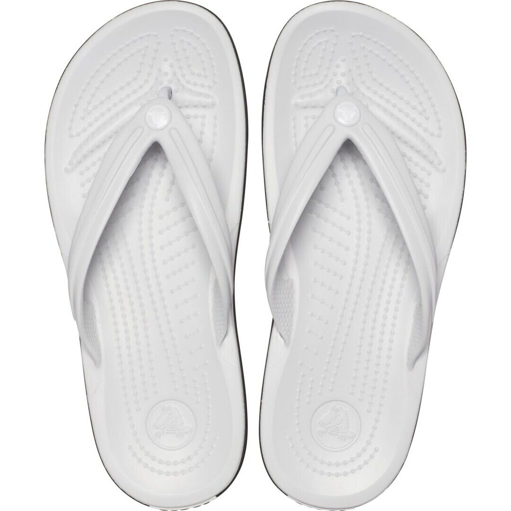 Crocs šlepetės moterims Crocband Flip 281454, baltos kaina ir informacija | Šlepetės moterims | pigu.lt