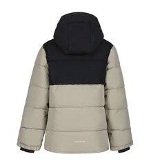 Детская куртка Icepeak Louin 300 г 50035-4*230 6438549482539, светло-серая/черная цена и информация | Куртка для мальчика | pigu.lt