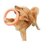 Žaislas šunims Žiedas, oranžinis, 18 cm kaina ir informacija | Žaislai šunims | pigu.lt