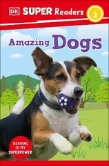 DK Super Readers Level 2 Amazing Dogs kaina ir informacija | Knygos paaugliams ir jaunimui | pigu.lt