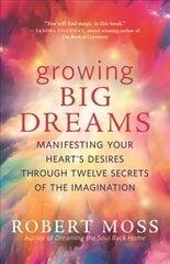 Growing Big Dreams: Manifesting Your Heart's Desires Through Twelve Secrets of the Imagination kaina ir informacija | Saviugdos knygos | pigu.lt