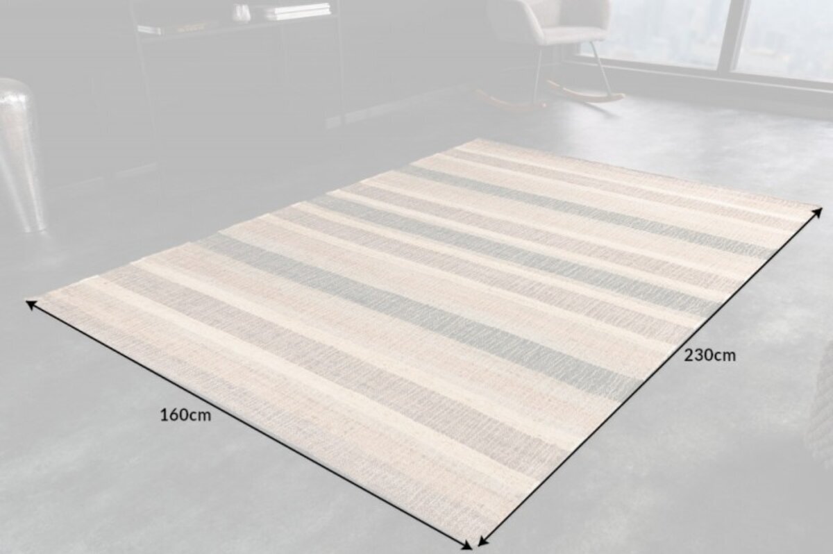 Kilimas Hano 230x160 cm kaina ir informacija | Kilimai | pigu.lt