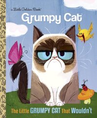 Little Grumpy Cat that Wouldn't (Grumpy Cat) цена и информация | Книги для малышей | pigu.lt