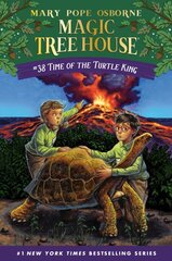 Time of the Turtle King kaina ir informacija | Knygos paaugliams ir jaunimui | pigu.lt