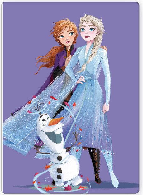 Disney Frozen pledas, 100x140 cm kaina ir informacija | Lovatiesės ir pledai | pigu.lt