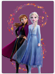 Disney Frozen Purple Polar Плед 100x140 cm цена и информация | Покрывала, пледы | pigu.lt