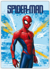 Spiderman Light Polar Плед 100x140 cm цена и информация | Покрывала, пледы | pigu.lt