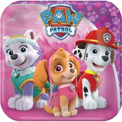 Paw Patrol Одноразовые бумажные тарелки  (8 шт) 18 cm цена и информация | Праздничная одноразовая посуда | pigu.lt