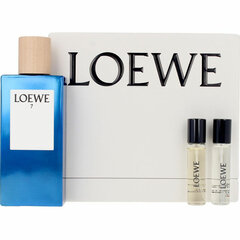 Kosmetikos rinkinys Loewe 7 vyrams: tualetinis vanduo EDT, 100 ml + tualetinis vanduo EDT, 10 ml + tualetinis vanduo EDT, 10 ml kaina ir informacija | Kvepalai vyrams | pigu.lt