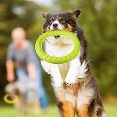 Žaislas šunims žiedas Pet Toys, žalias, 28 cm kaina ir informacija | Žaislai šunims | pigu.lt