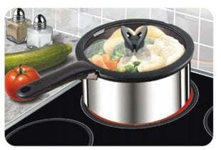 Tefal puodo ir keptuvės dangtis Ingenio L9936482, 22 cm kaina ir informacija | Puodai, greitpuodžiai | pigu.lt