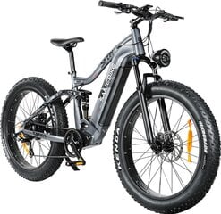 Elektrinis dviratis Samebike RS-A08 Mid-Drive 26", pilkas цена и информация | Электровелосипеды | pigu.lt