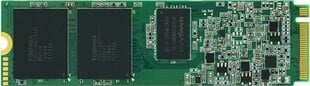 CoreParts NE-512T kaina ir informacija | Vidiniai kietieji diskai (HDD, SSD, Hybrid) | pigu.lt