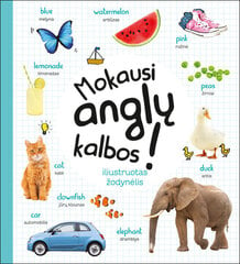 Mokausi anglų kalbos! цена и информация | Книги для детей | pigu.lt