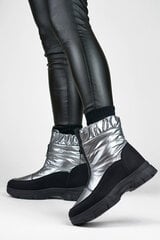 Žieminiai batai moterims Primohurt, sidabro spalvos цена и информация | Женские ботинки | pigu.lt