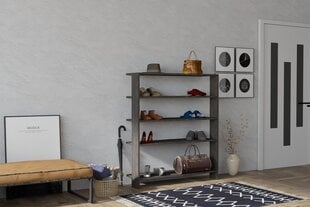 Обувной шкаф Asir, 100х120х29,6 см, серый цена и информация | Полки для обуви, банкетки | pigu.lt