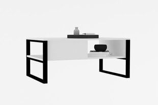 Кофейный столик Asir, 100x60x44 см, белый цена и информация | Журнальные столы | pigu.lt