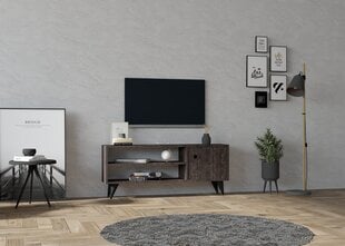 TV blokas, Asir, 120x50x29 cm, pilka kaina ir informacija | TV staliukai | pigu.lt