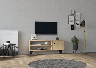 TV blokas, Asir, 120x50x29 cm, ruda kaina ir informacija | TV staliukai | pigu.lt