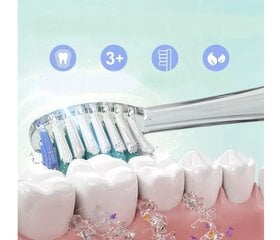 Зубная щетка Seago SG-977 цена и информация | Электрические зубные щетки | pigu.lt