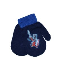 Детские перчатки CARS 12*16 180178 01 180178*01-ONE, тёмно-синие цена и информация | Шапки, перчатки, шарфы для мальчиков | pigu.lt