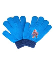 Детские перчатки CARS 12*16 180178 01 180178*01-ONE, тёмно-синие цена и информация | Шапки, перчатки, шарфы для мальчиков | pigu.lt