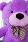 Pliušinis meškiukas, 160 cm, violetinis kaina ir informacija | Minkšti (pliušiniai) žaislai | pigu.lt