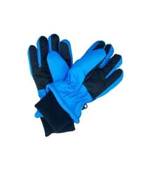 Детские перчатки Paw Patrol 180172 01 180172*01-ONE, тёмно-синие /синие цена и информация | Шапки, перчатки, шарфы для мальчиков | pigu.lt