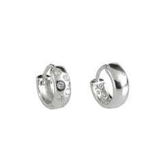 Maži dvipusiai auskarai moterims Sidabra Jewelry E004 kaina ir informacija | Auskarai | pigu.lt