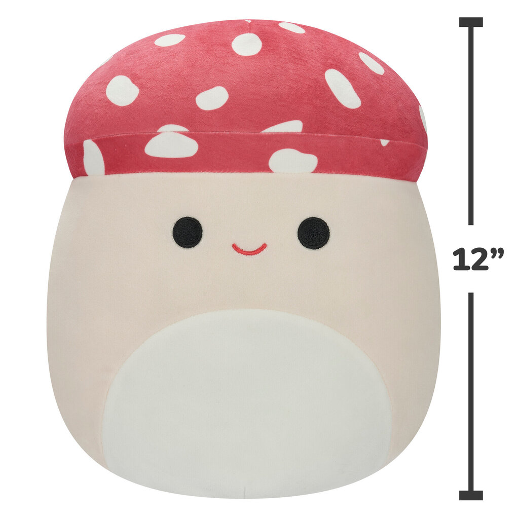 Pliušinis žaislas Squishmallows W2, 30 cm kaina ir informacija | Minkšti (pliušiniai) žaislai | pigu.lt