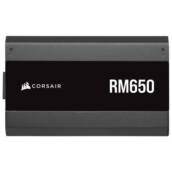 Corsair RM650 цена и информация | Maitinimo šaltiniai (PSU) | pigu.lt