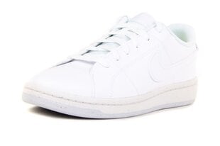 Nike laisvalaikio batai vyrams DH3160100, balti kaina ir informacija | Kedai vyrams | pigu.lt