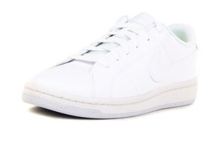 NIKE МУЖСКИЕ КРОССОВКИ COURT ROYALE 2 DH3160-100, БЕЛЫЕ, 41 DH3160100_41 цена и информация | Кроссовки для мужчин | pigu.lt